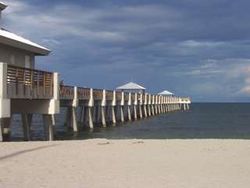 photo from Juno Beach's homepage 